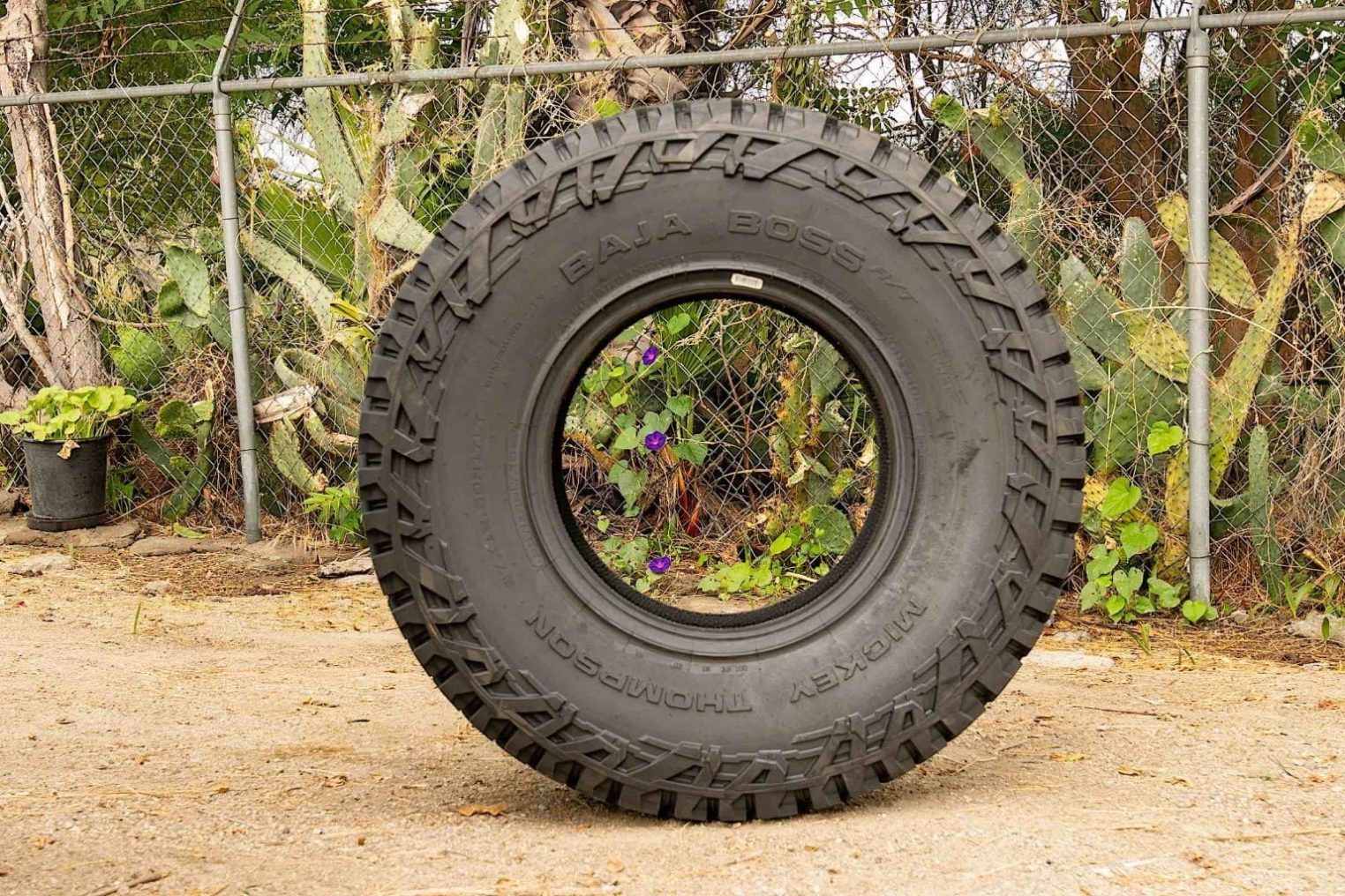 MICKEY THOMPSON BAJA BOSS A/T Photo 2